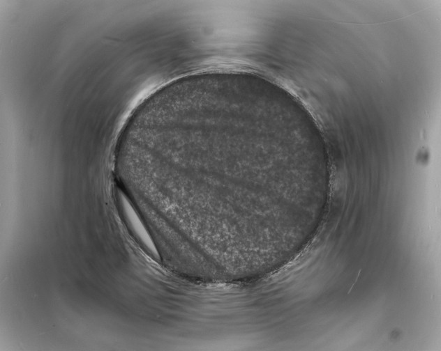 X0000098181459200805221526