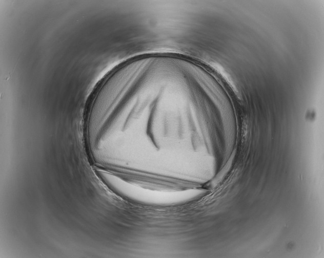 X0000098181460200805221526