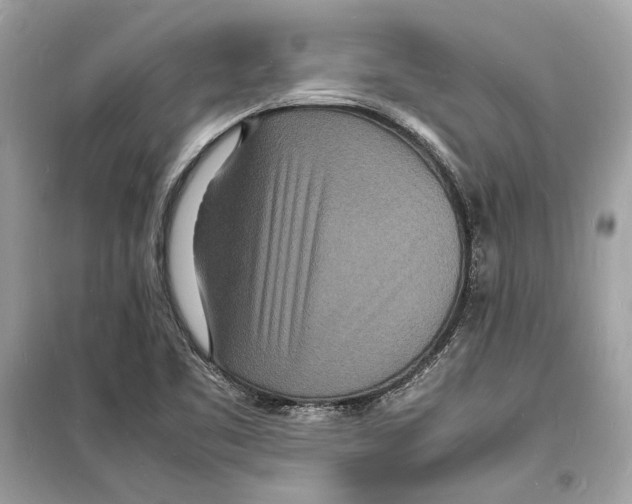 X0000098181461200805221526