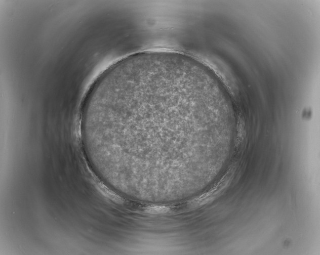 X0000098181462200805221526