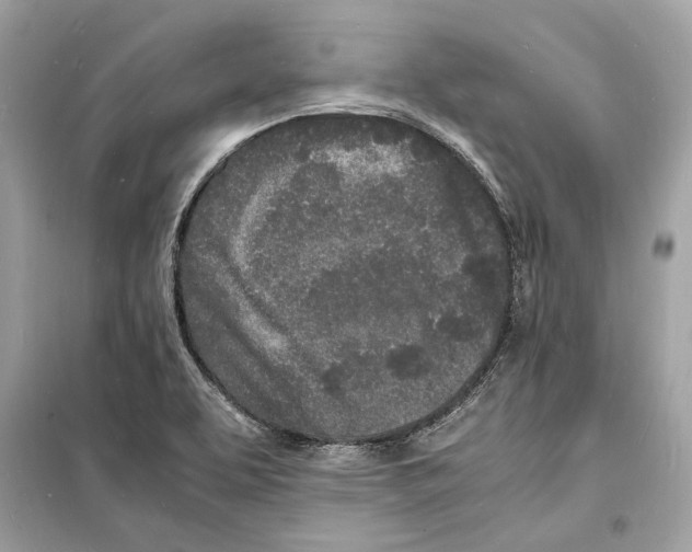 X0000098181463200805221526