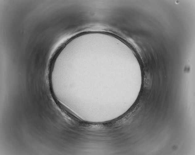 X0000098181464200805221526