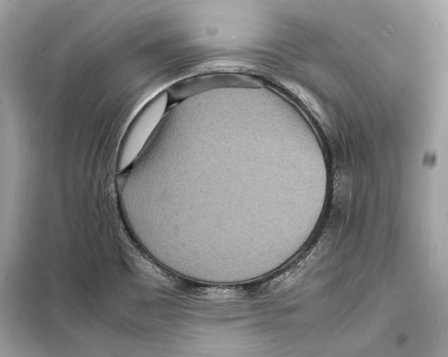 X0000098181465200805221526