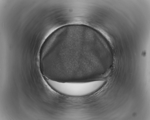 X0000098181468200805221526