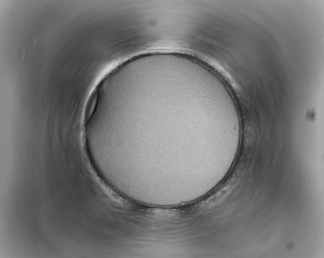 X0000098181469200805221526