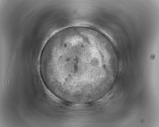 X0000098181471200805221526