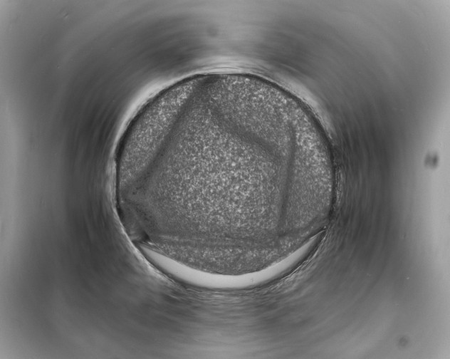 X0000098181472200805221526