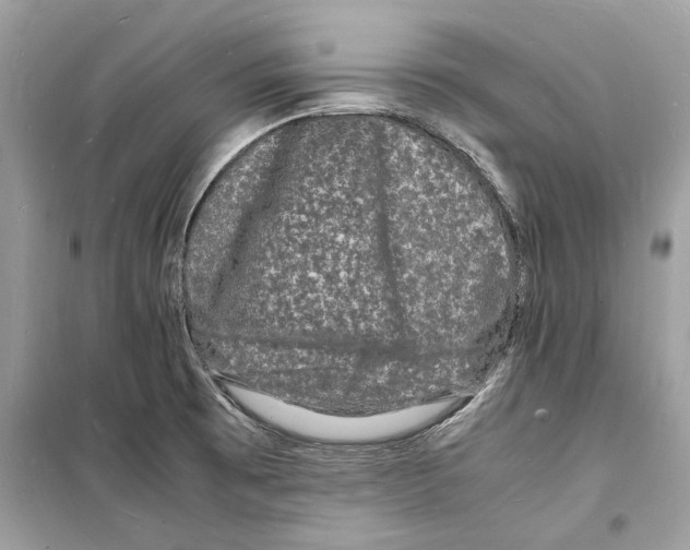 X0000098181473200805221526