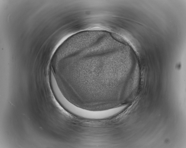 X0000098181476200805221526