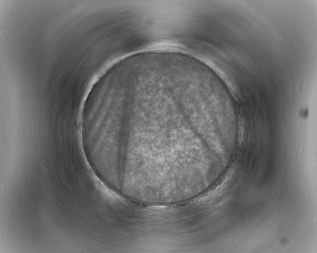 X0000098181478200805221526