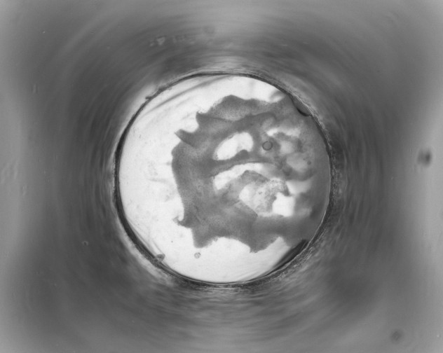 X0000098181479200805221526