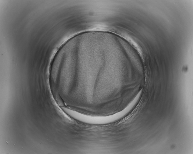 X0000098181480200805221526