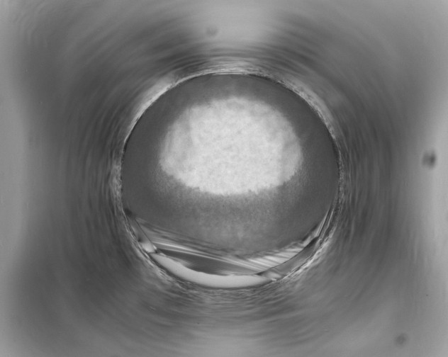 X0000098181481200805221526