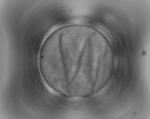 X0000098181482200805221526