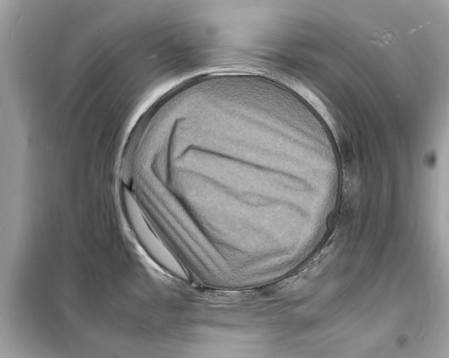 X0000098181485200805221526