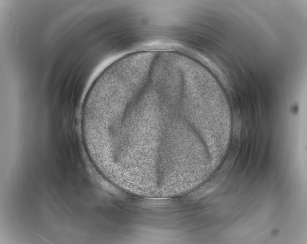 X0000098181486200805221526