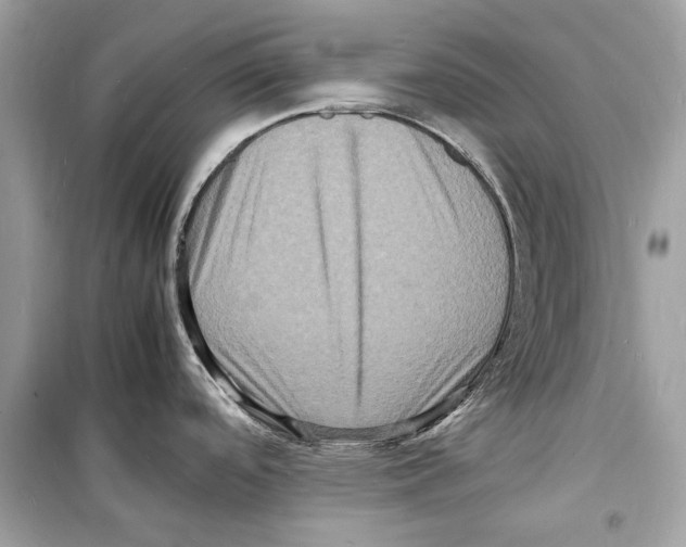 X0000098181488200805221526