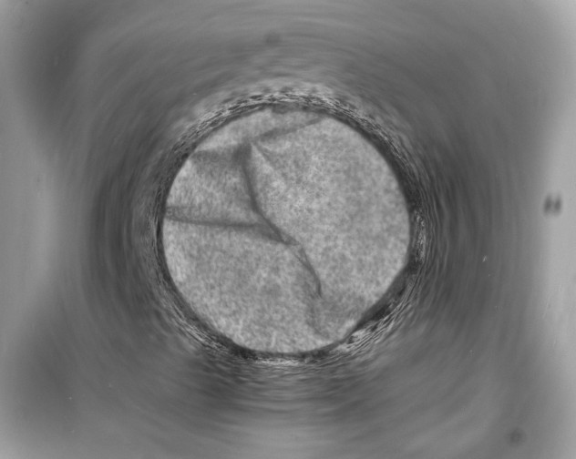 X0000098181489200805221525