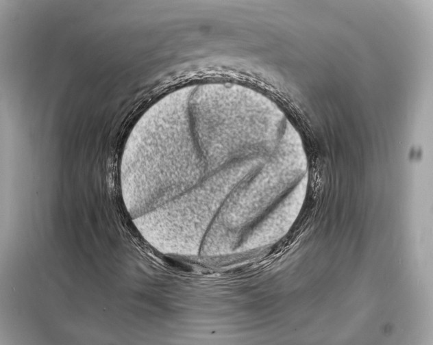 X0000098181490200805221525