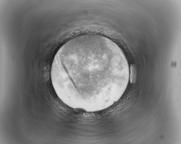 X0000098181491200805221525