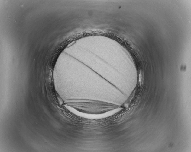 X0000098181492200805221525