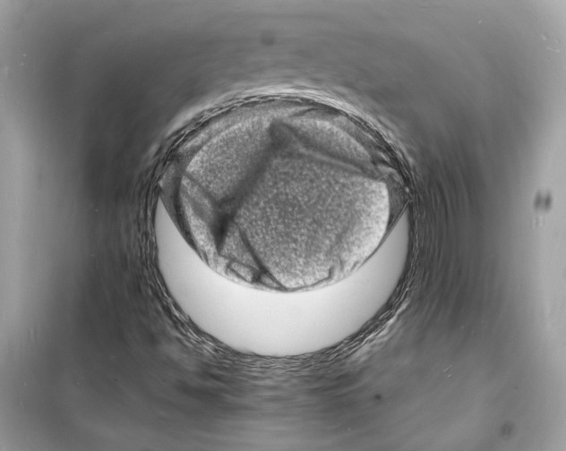 X0000098181494200805221525