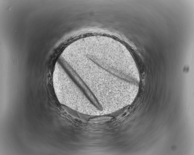 X0000098181495200805221526