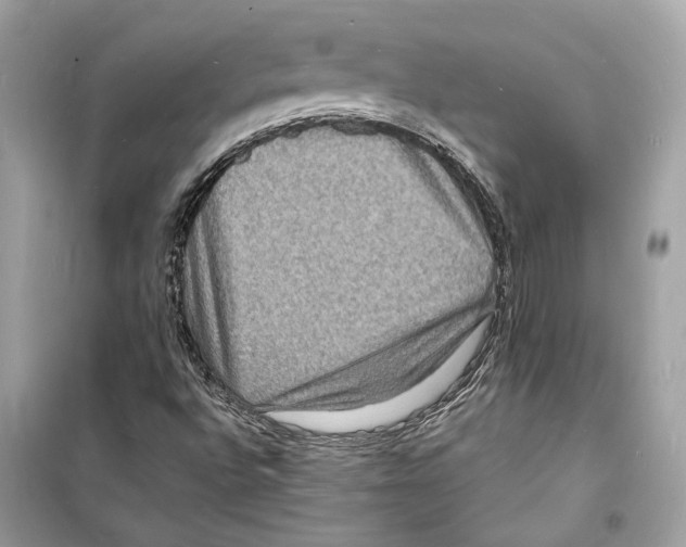 X0000098181496200805221526