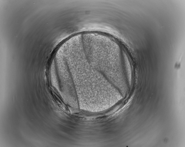 X0000098181497200805221526