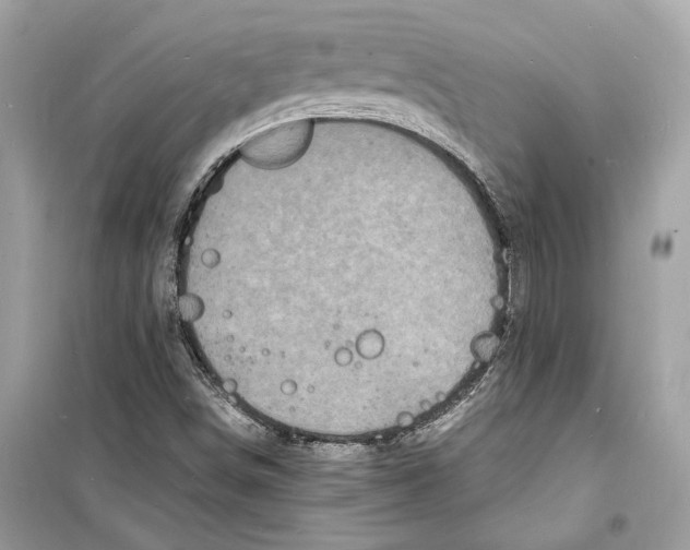 X0000098181498200805221526