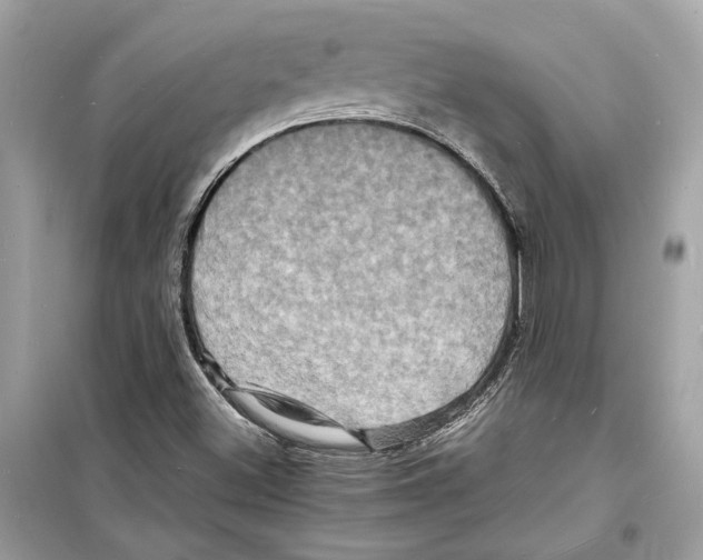 X0000098181500200805221526