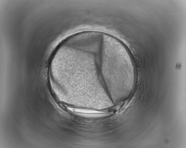 X0000098181503200805221526