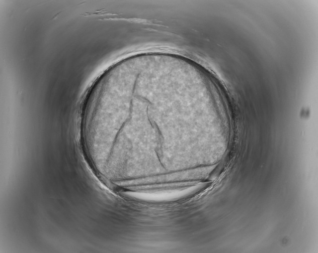 X0000098181504200805221526