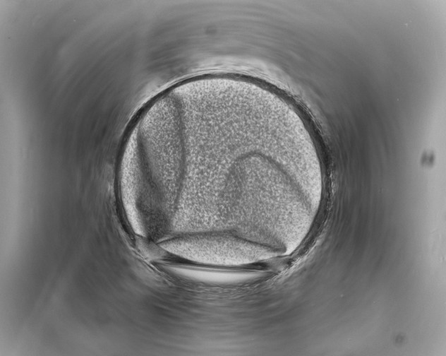 X0000098181505200805221526