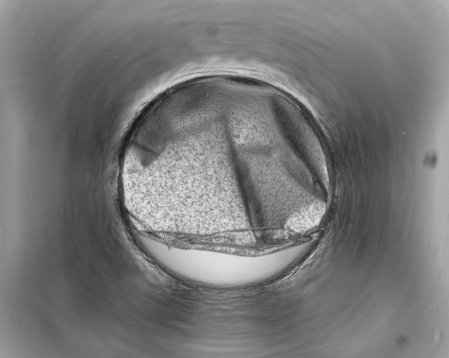 X0000098181507200805221526