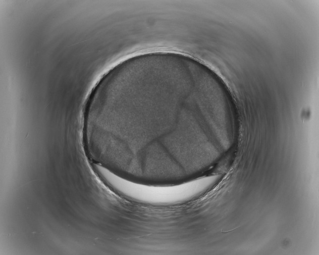 X0000098181508200805221526