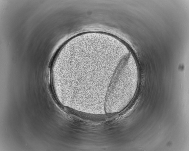 X0000098181509200805221526