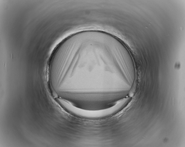 X0000098181510200805221526