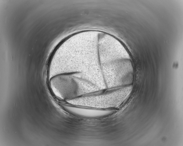 X0000098181511200805221526