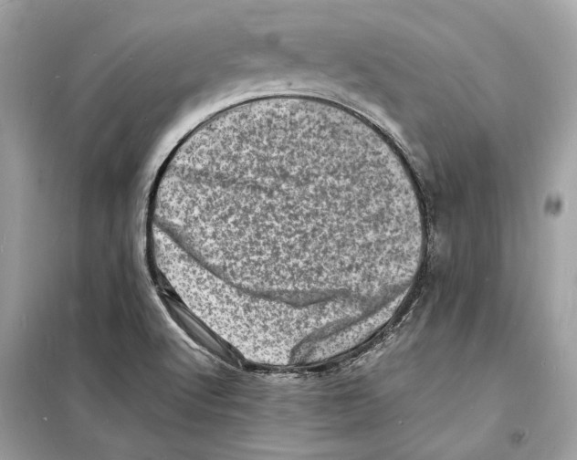 X0000098181512200805221526