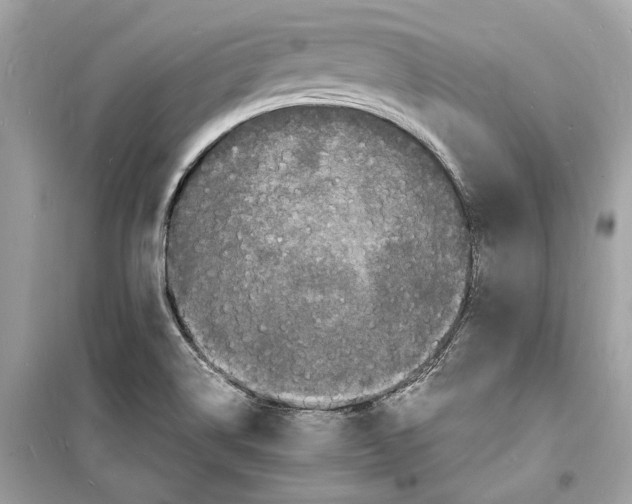 X0000098181514200805221526