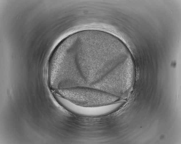 X0000098181515200805221526