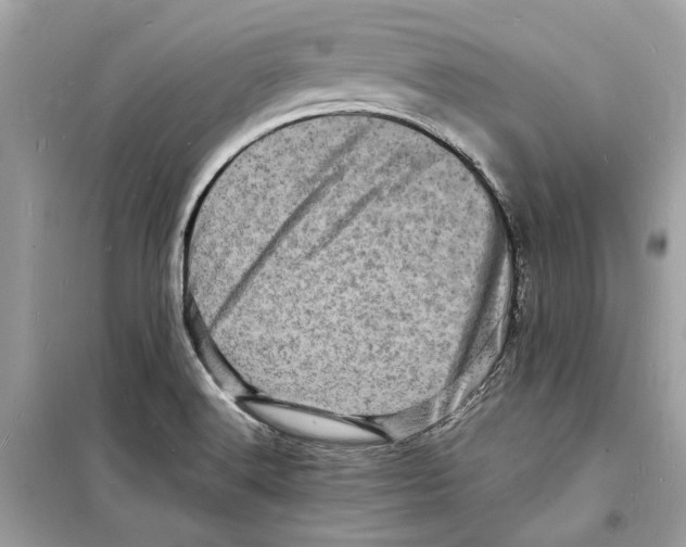 X0000098181516200805221526