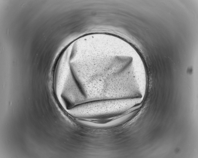 X0000098181517200805221526