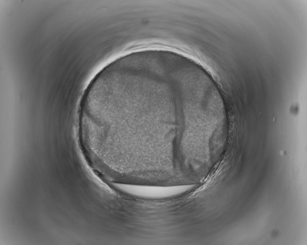 X0000098181518200805221526