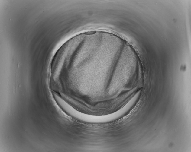 X0000098181520200805221526