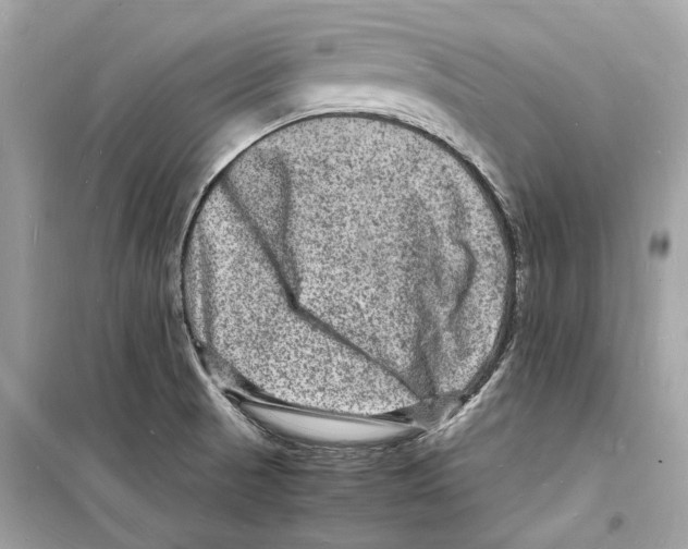 X0000098181521200805221526