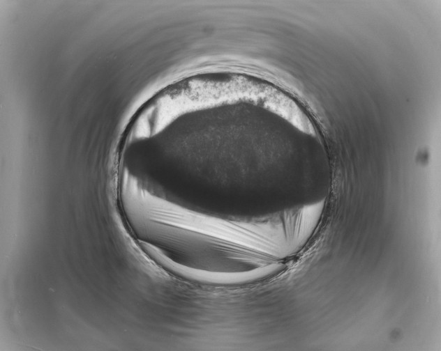 X0000098181522200805221526