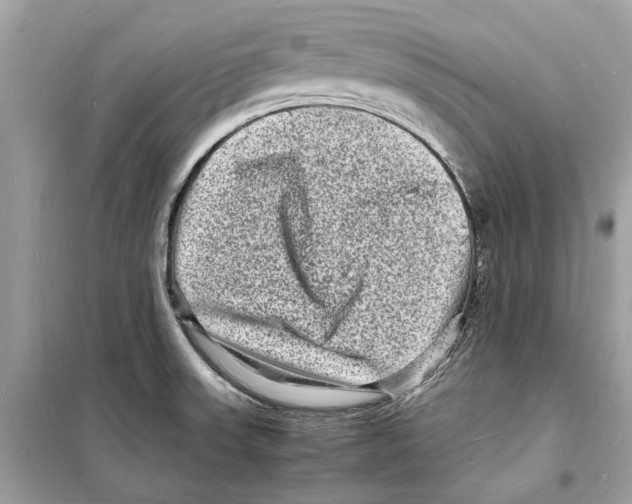 X0000098181523200805221526