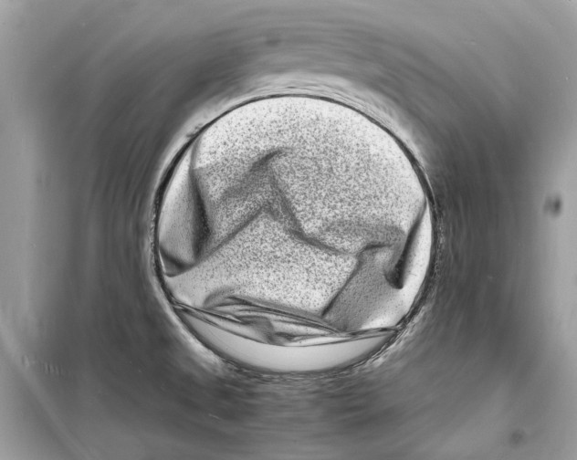 X0000098181525200805221526